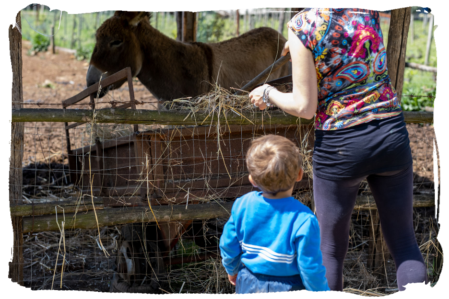 Bimbo a La Fattoria dei Piccoli